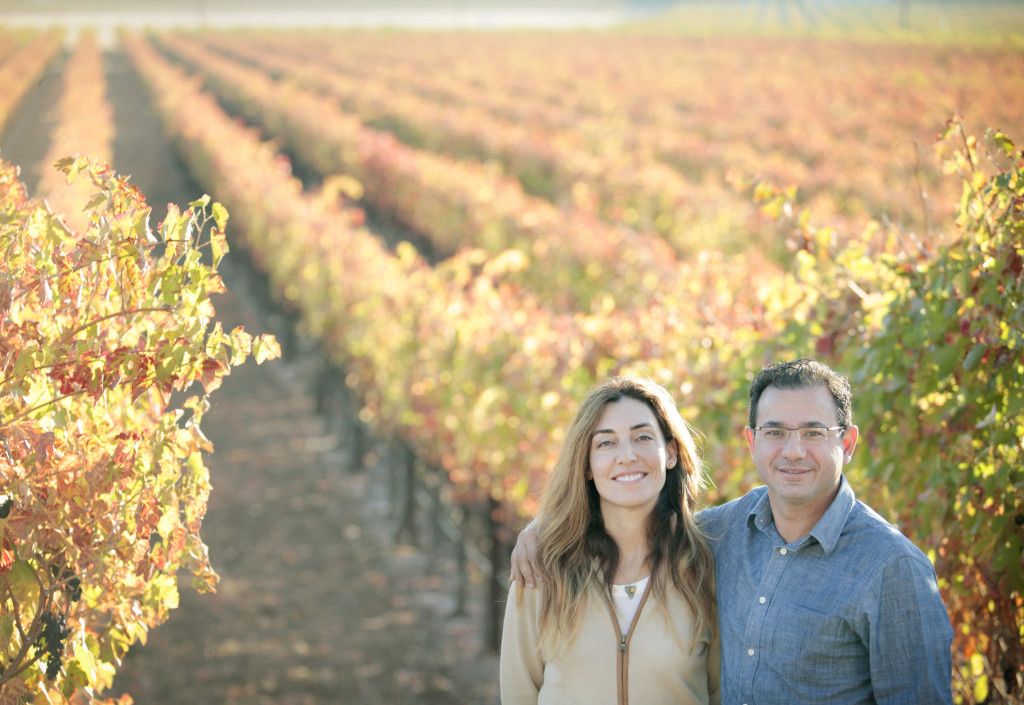 vineyard, 11/1/13
